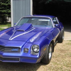 Electric Blue and Chameleon Pearls on Camaro.